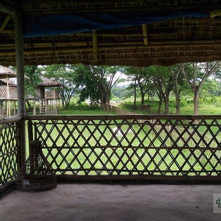 Dhansiri Eco Camp Bokākhāt Dış mekan fotoğraf