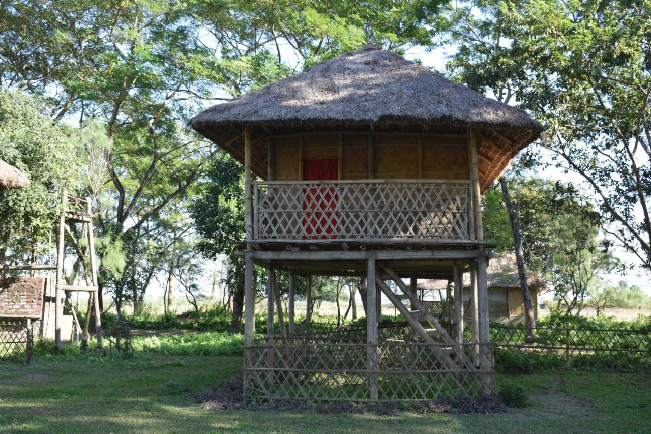 Dhansiri Eco Camp Bokākhāt Dış mekan fotoğraf